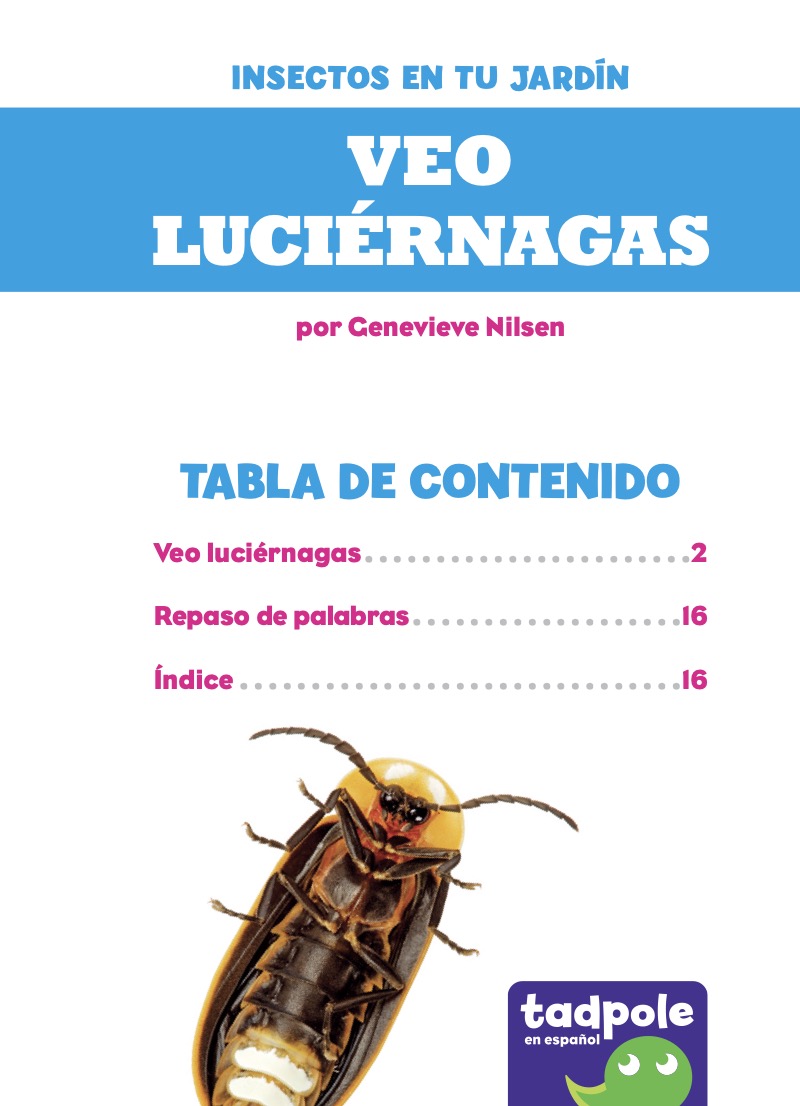 Veo luciérnagas (I See Fireflies) book cover