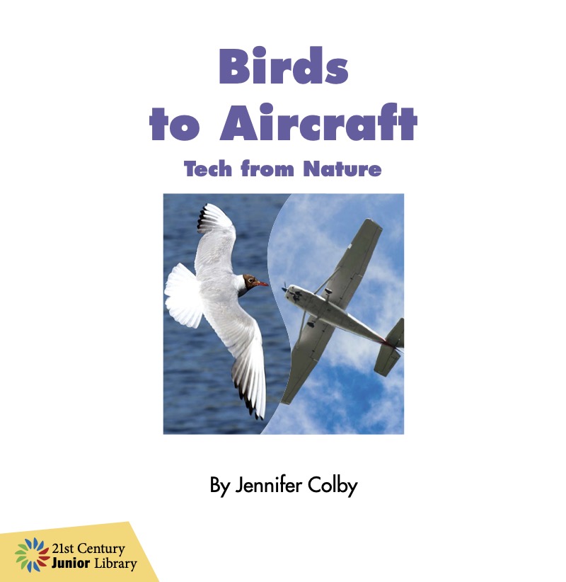 Birds to Aircraft book cover