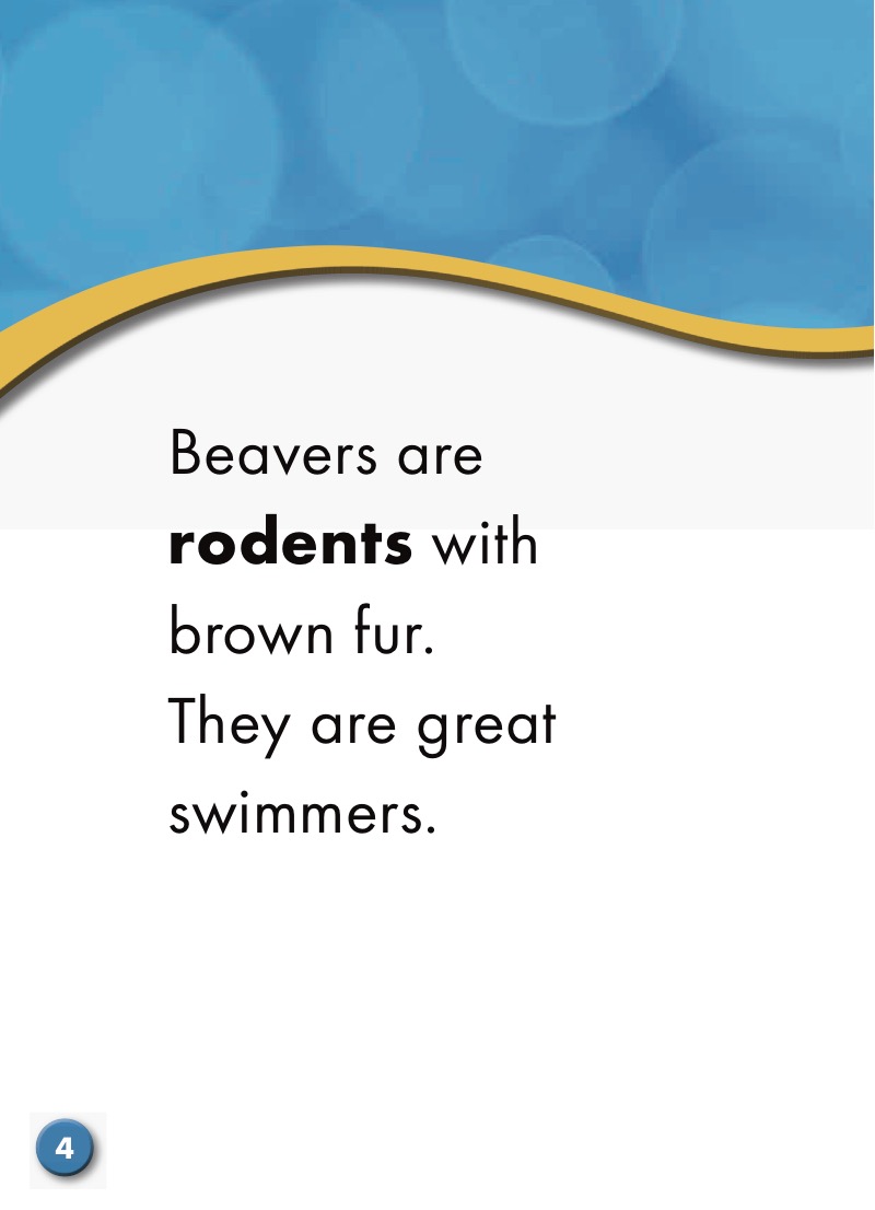 Beavers: Backyard Wildlife — page 1