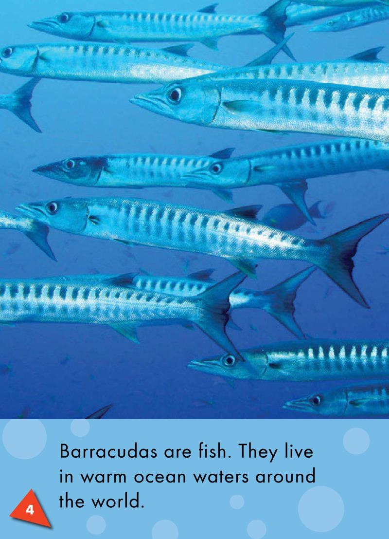 Barracudas: Oceans Alive — page 1