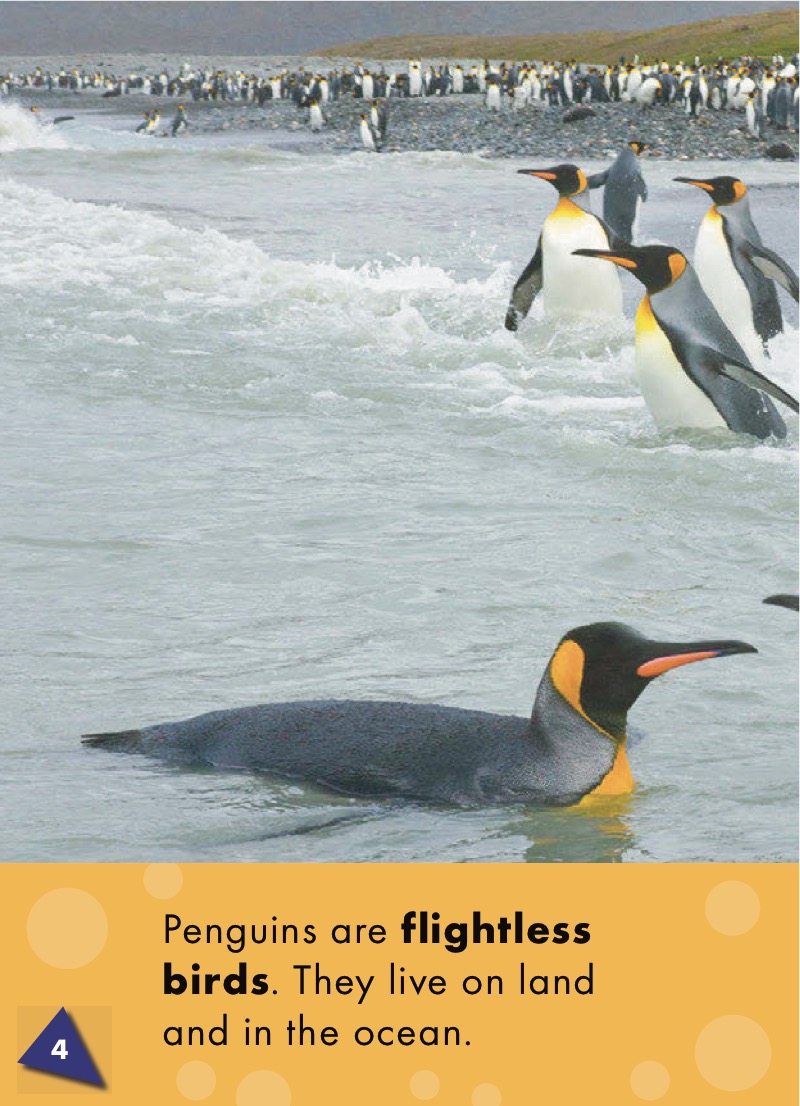 Penguins: Oceans Alive — page 1