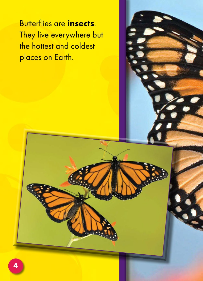 The Life Cycle of a Butterfly — page 1