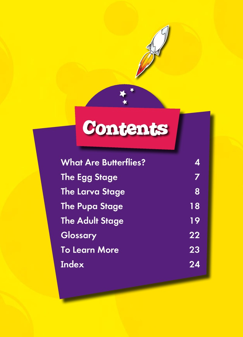 The Life Cycle of a Butterfly book cover