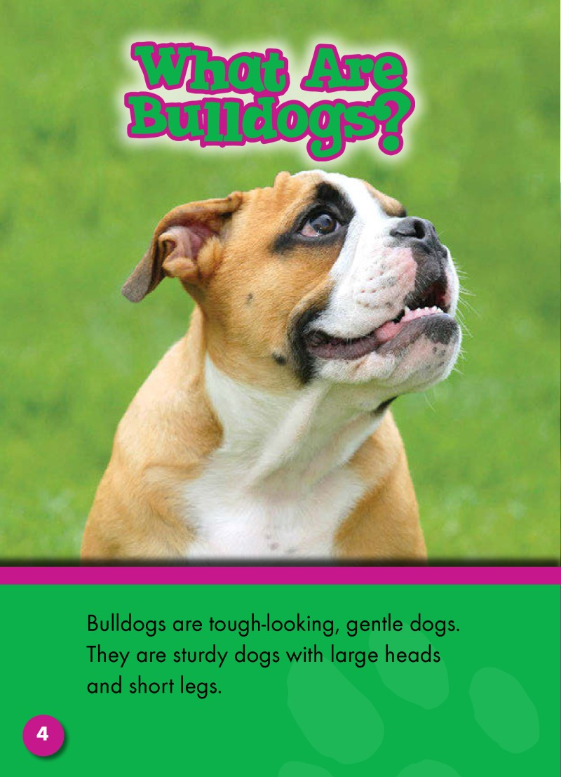 Bulldogs: Dog Breeds — page 1