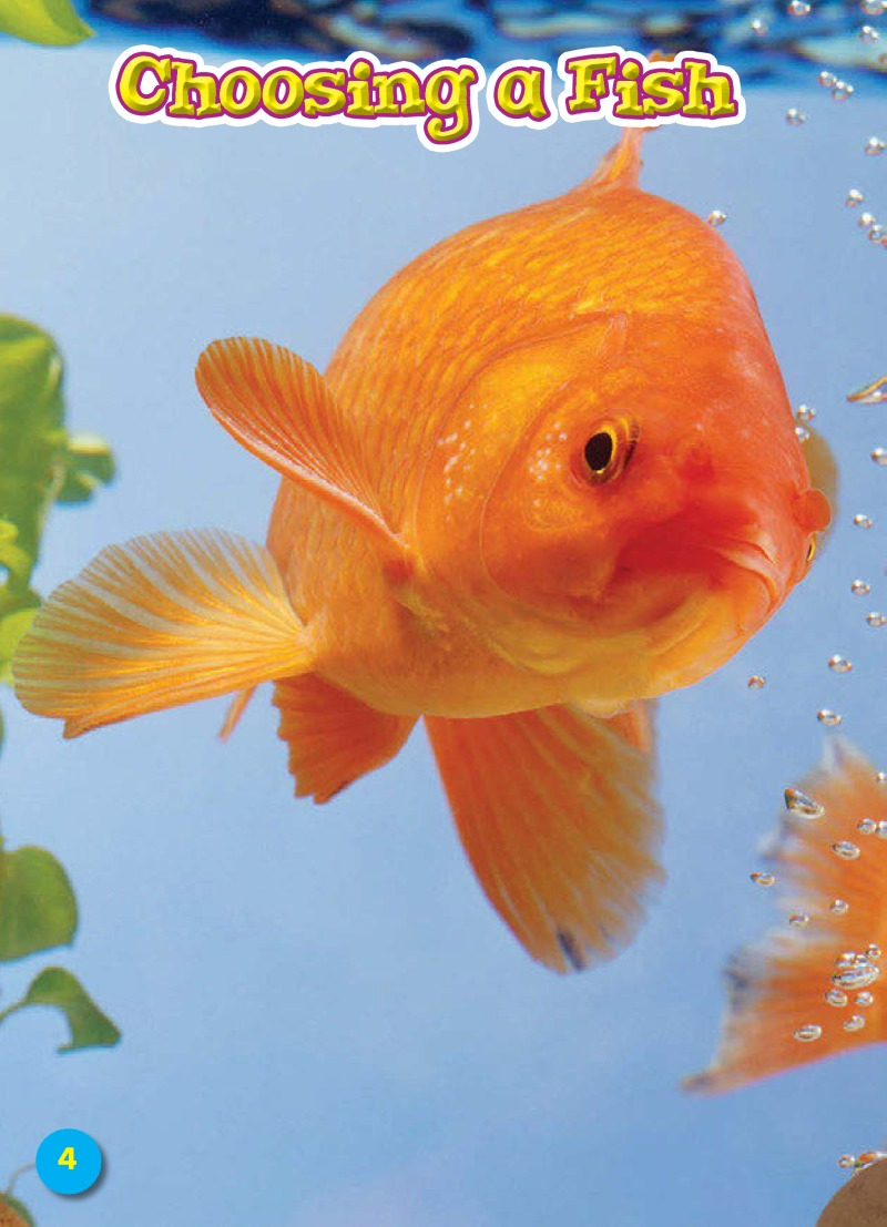 Caring for Your Fish: Pet Care Library — page 1
