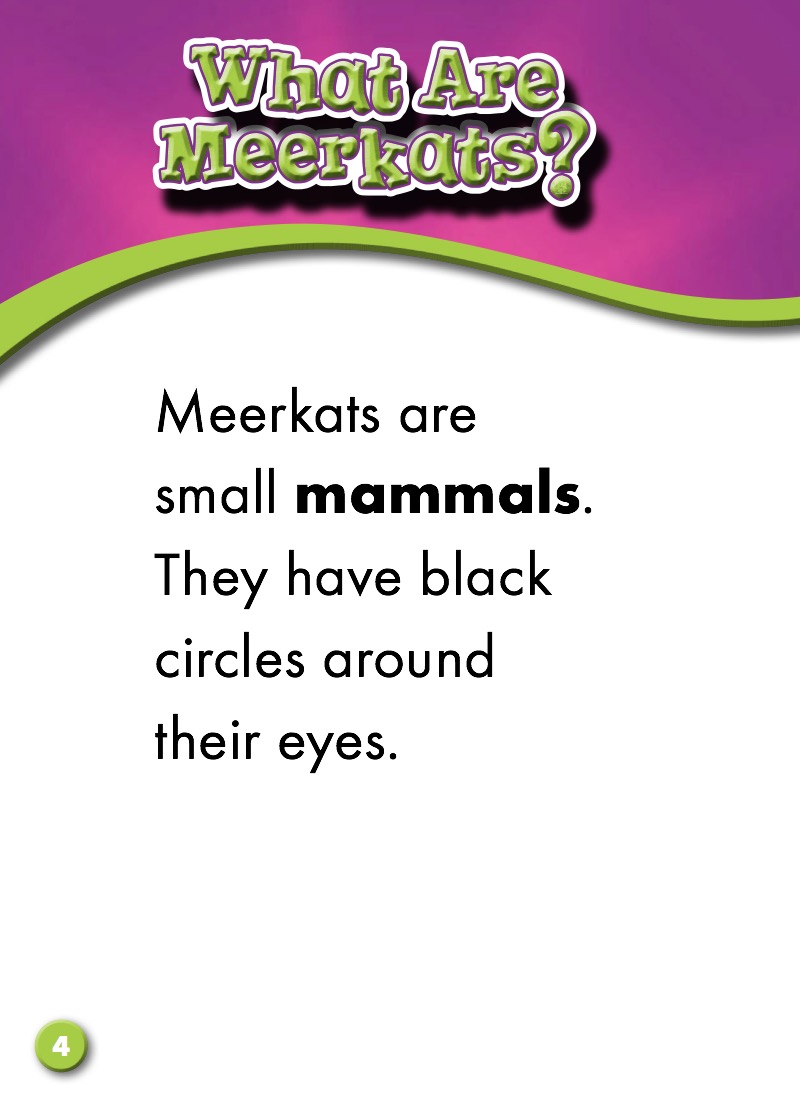 Meerkats: Animal Safari — page 1