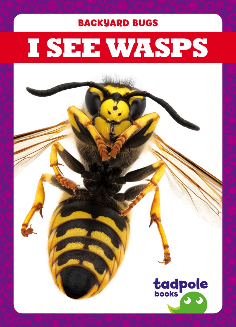 I See Wasps book cover