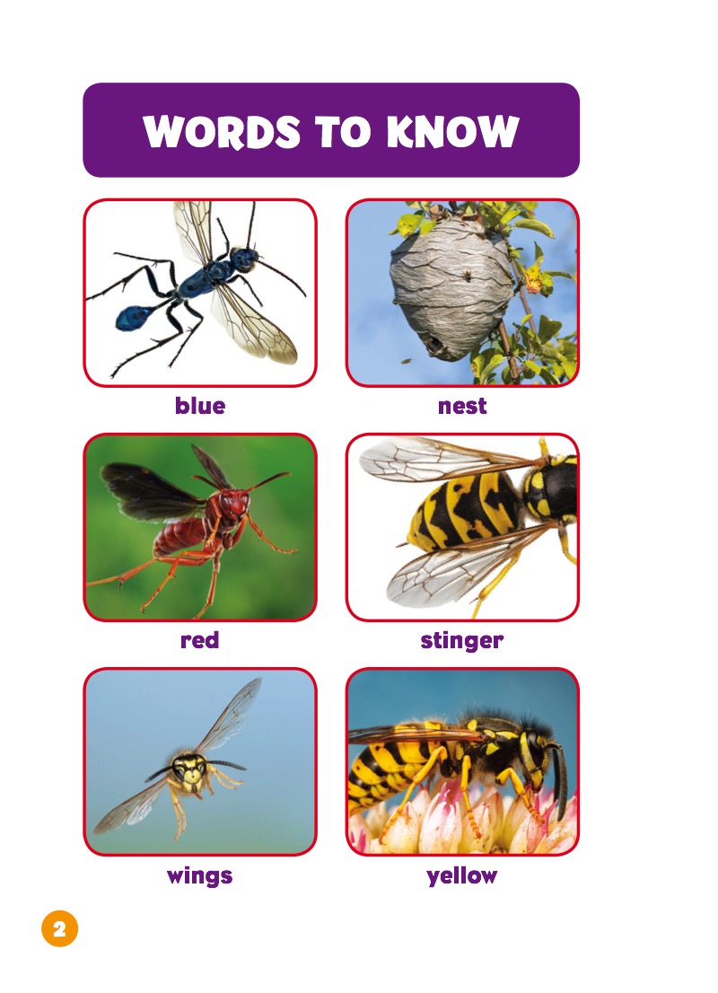 I See Wasps — page 1