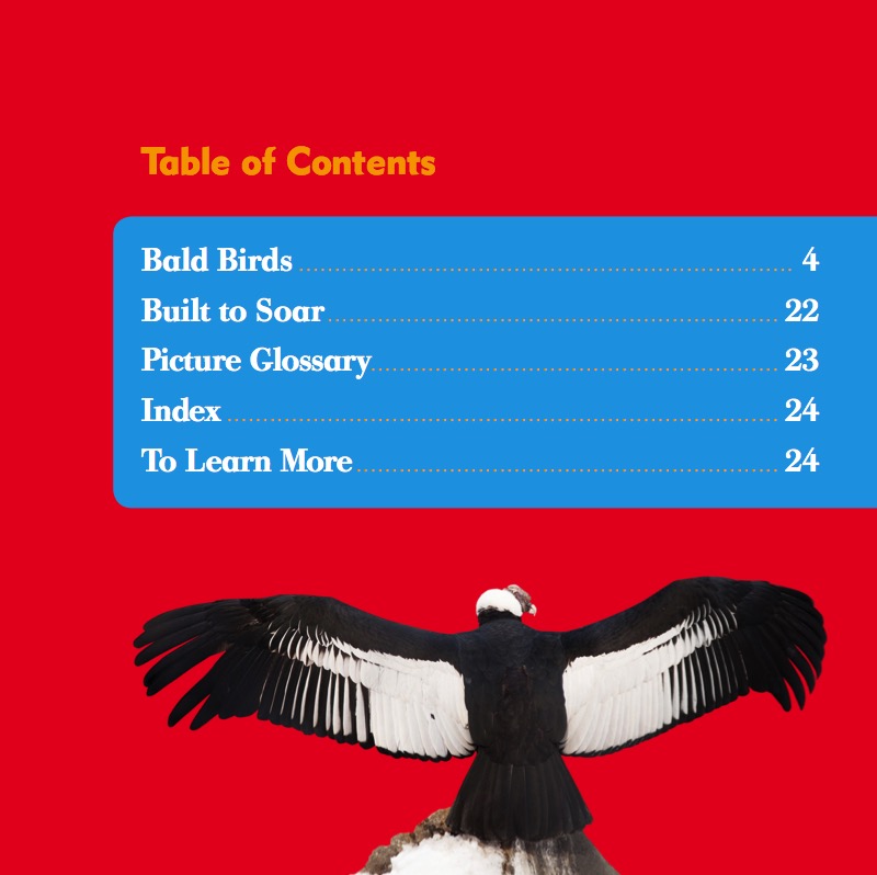 Raptor World: Condors book cover