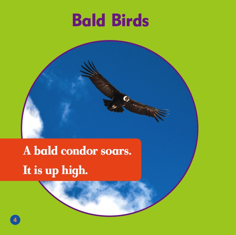 Raptor World: Condors — page 1