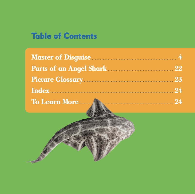 Shark Bites: Angel Shark book cover