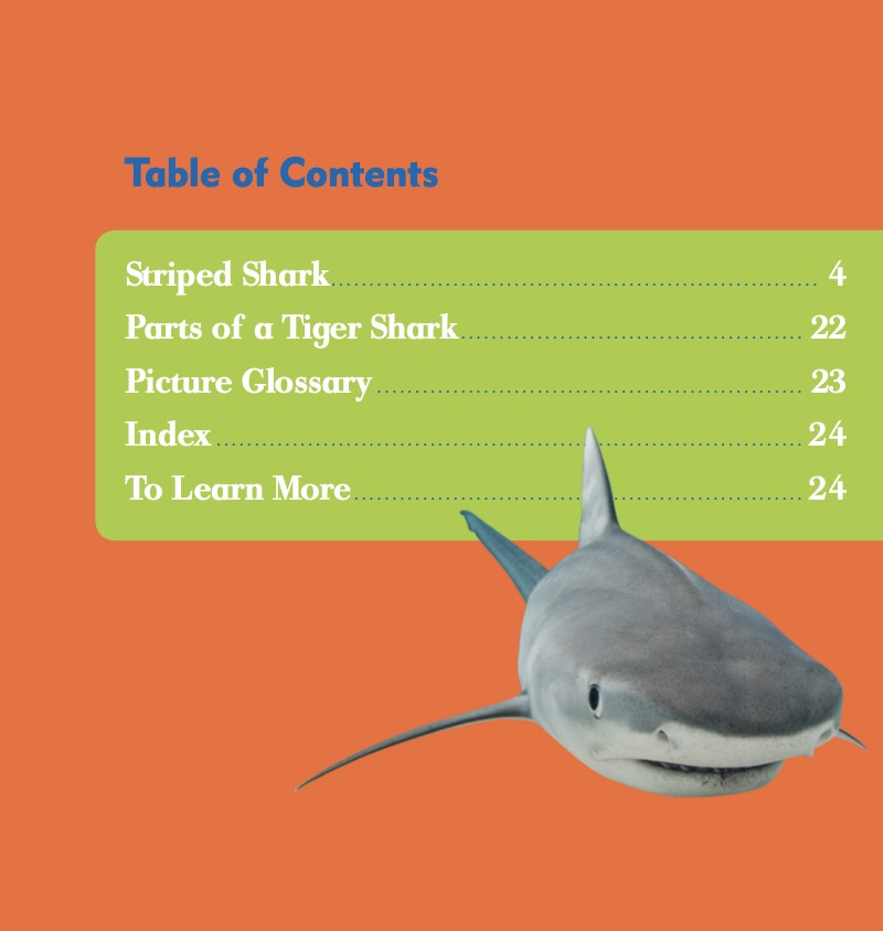 Shark Bites: Tiger Shark book cover
