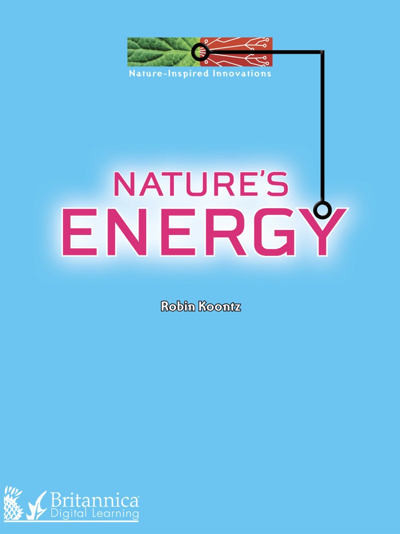 Nature's Energy book cover