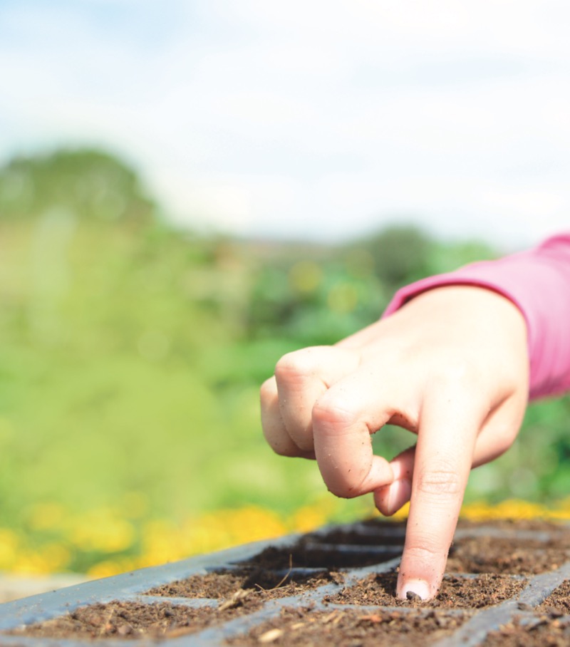 Plant, Cook, Eat! A Children's Cookbook — page 1