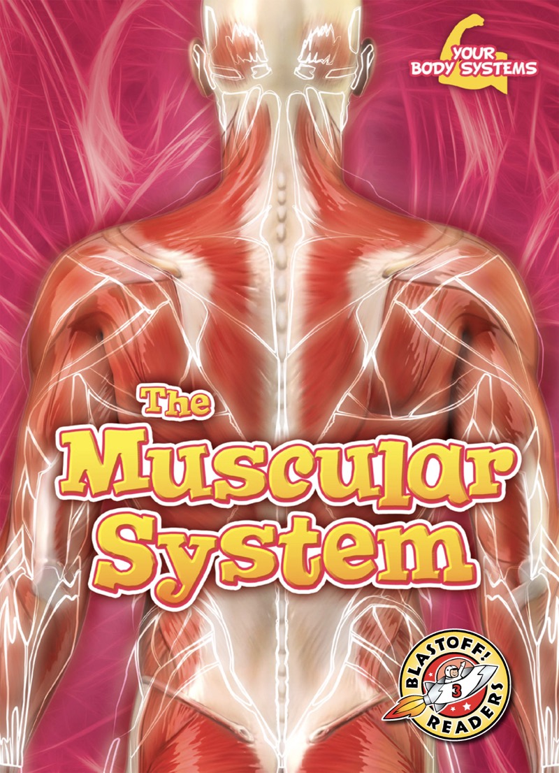 The Muscular System book cover