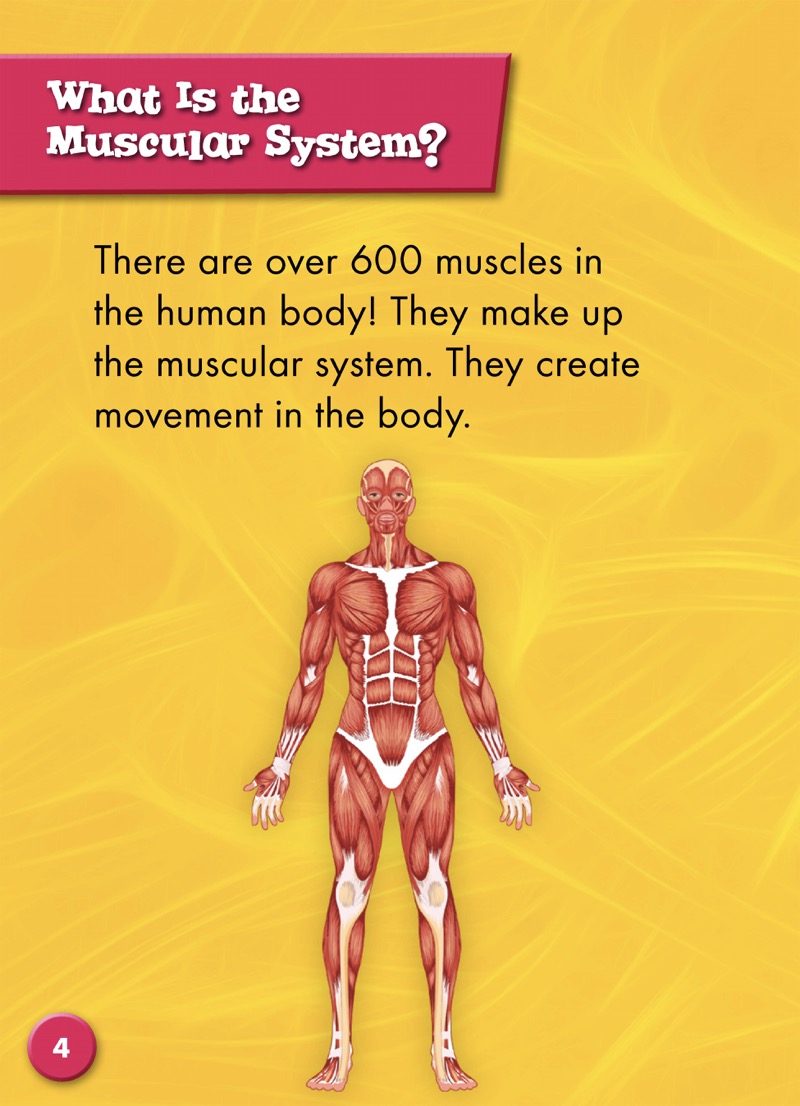 The Muscular System — page 1