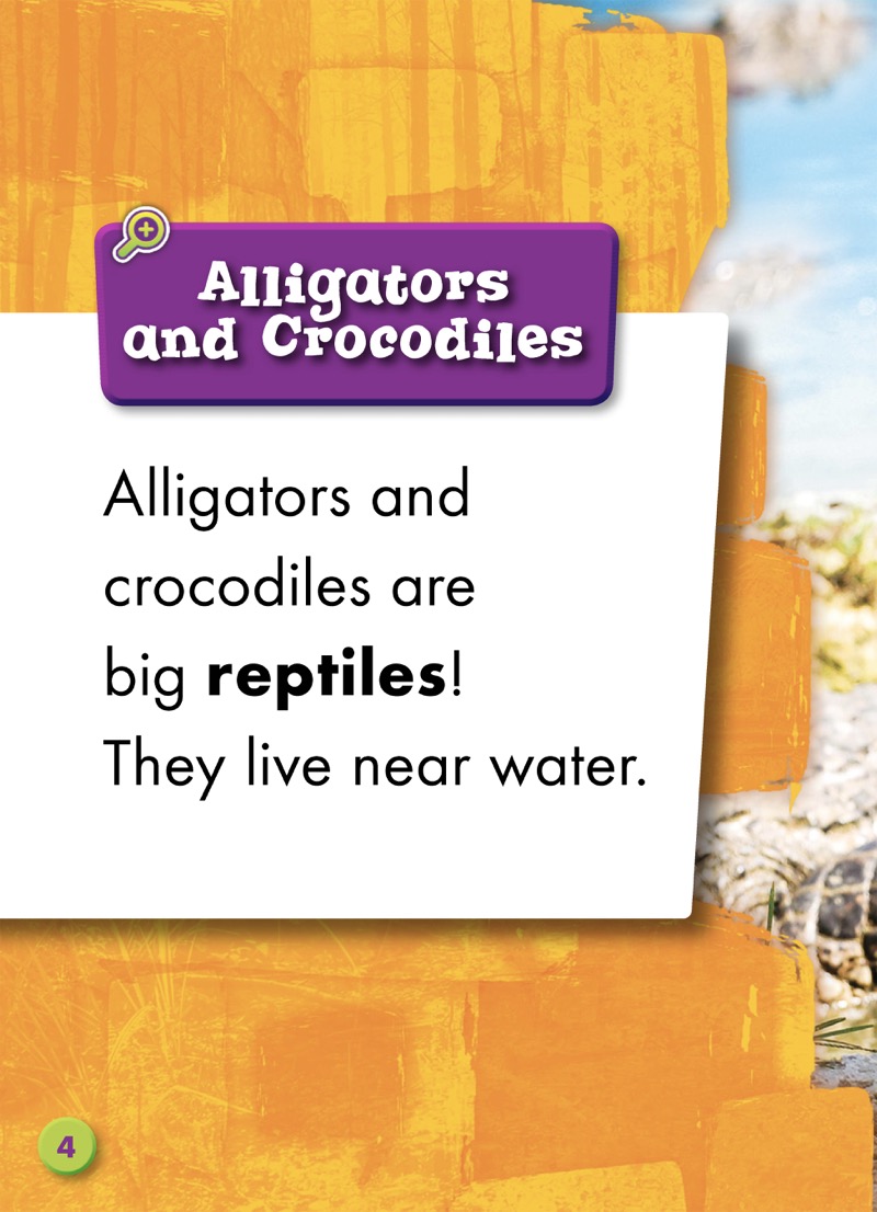 Alligator or Crocodile? — page 1