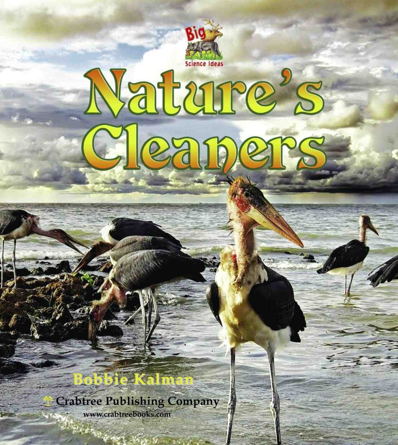 Nature's Cleaners book cover