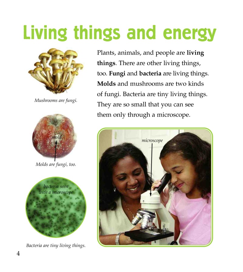 Nature's Cleaners — page 1