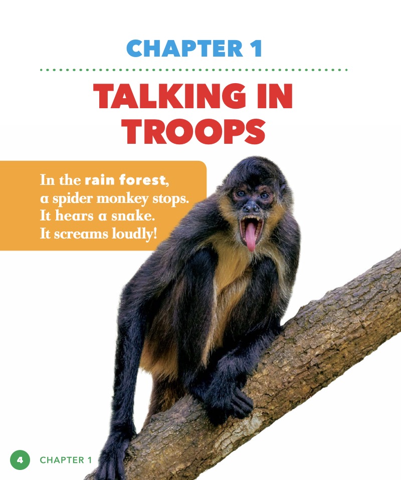 Monkey Troops — page 1