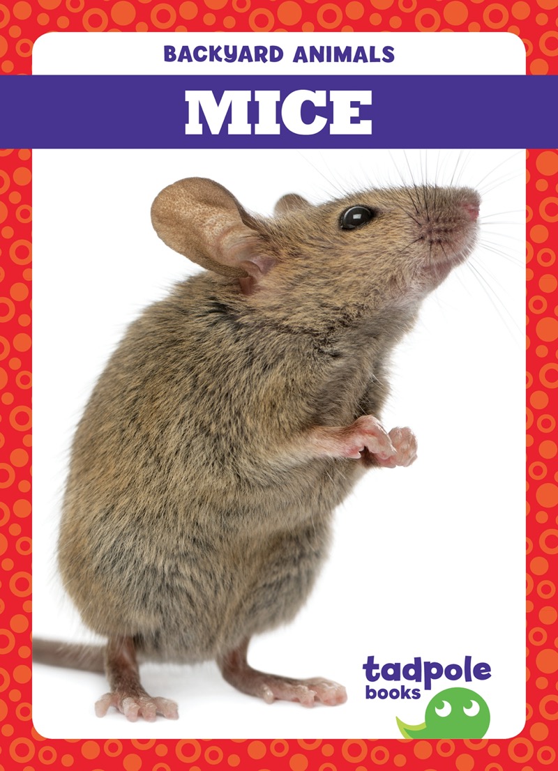 Backyard Animals: Mice book cover