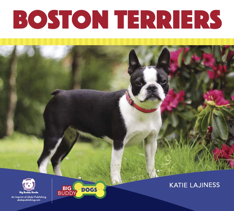 Boston Terriers book cover
