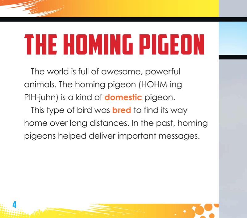 Homing Pigeons: Navigation All-Stars — page 1