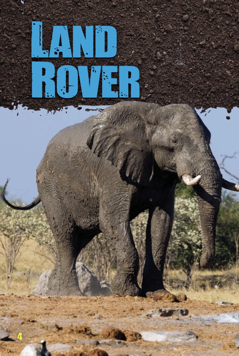 Land Rovers — page 1