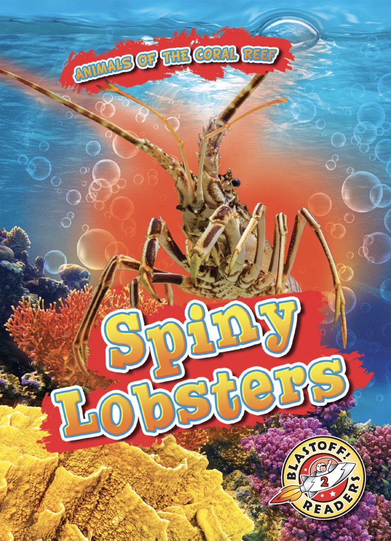 Animals of the Coral Reefs: Sping Lobsters book cover