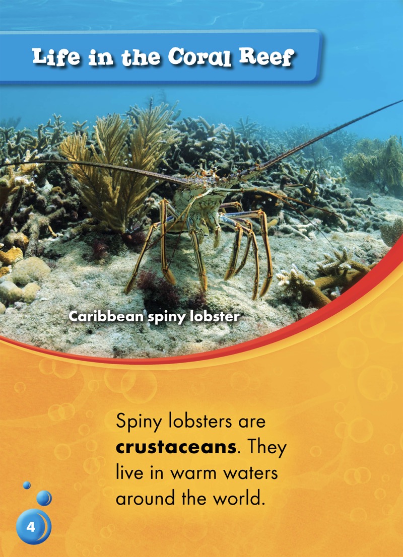 Animals of the Coral Reefs: Sping Lobsters — page 1