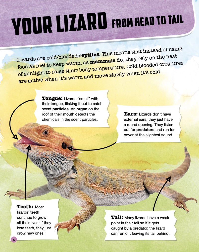 Lizard Pals — page 1