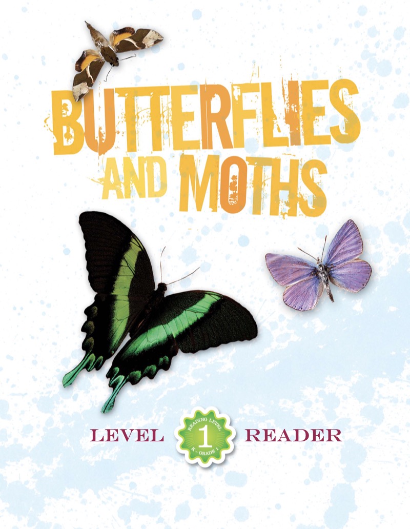 Butterflies and Moths book cover