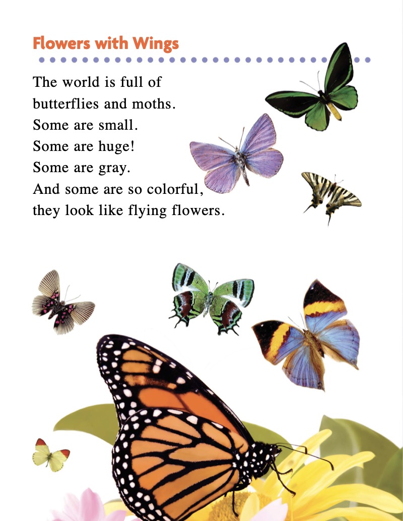 Butterflies and Moths — page 1