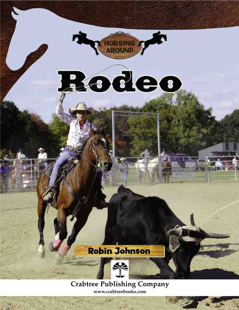 Rodeo book cover