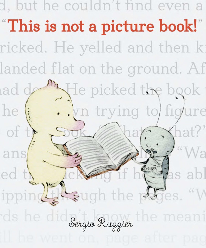 This is not a picture book! book cover