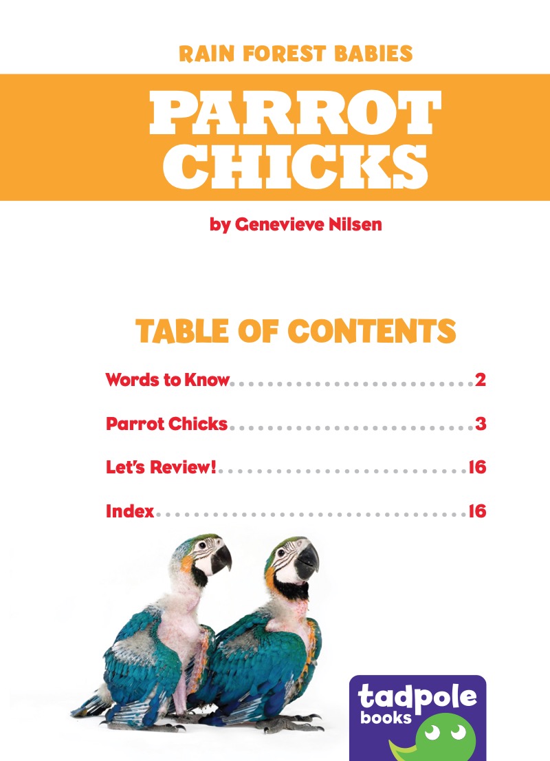 Rain Forest Babies: Parrot Chicks book cover