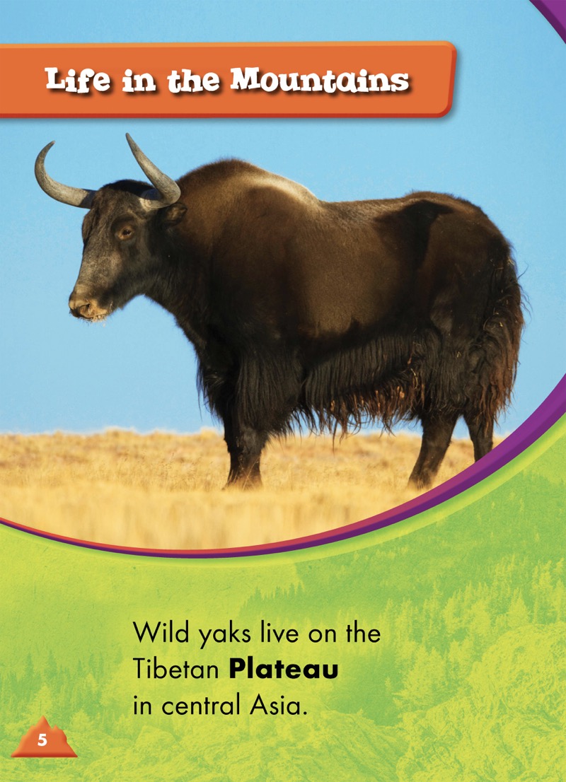 Animals of the Mountains: Wild Yaks — page 1