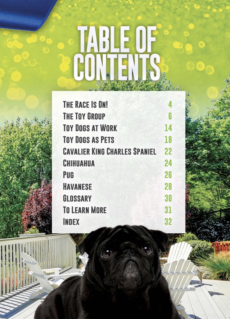 Dog Groups: Toy Dogs book cover