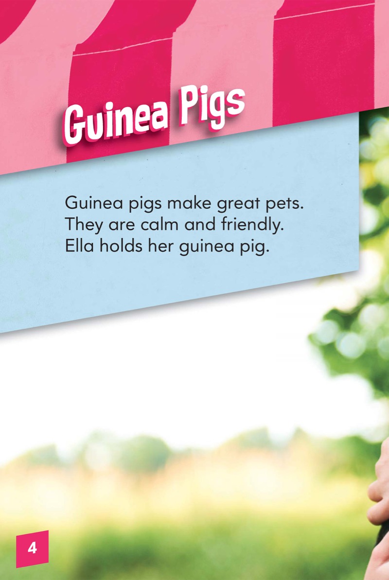 Pet Care: Guinea Pigs — page 1