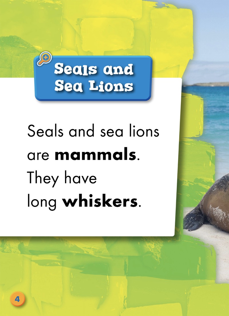 Spotting Differences: Seal or Sea Lion? — page 1