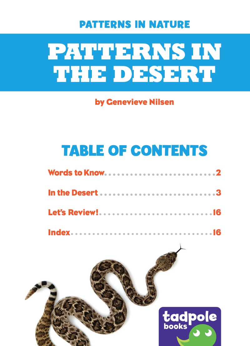 Patterns in the Desert book cover