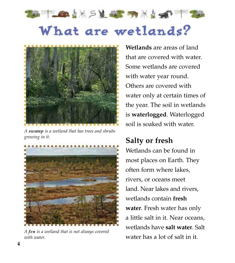Wetland Food Chains — page 1