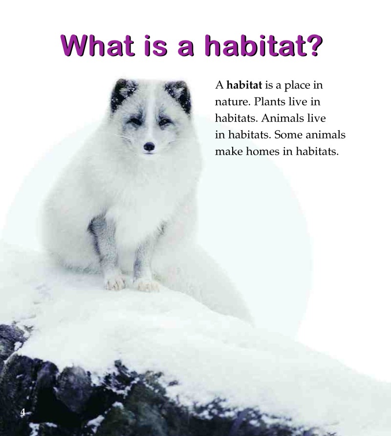 The Arctic Habitat — page 1