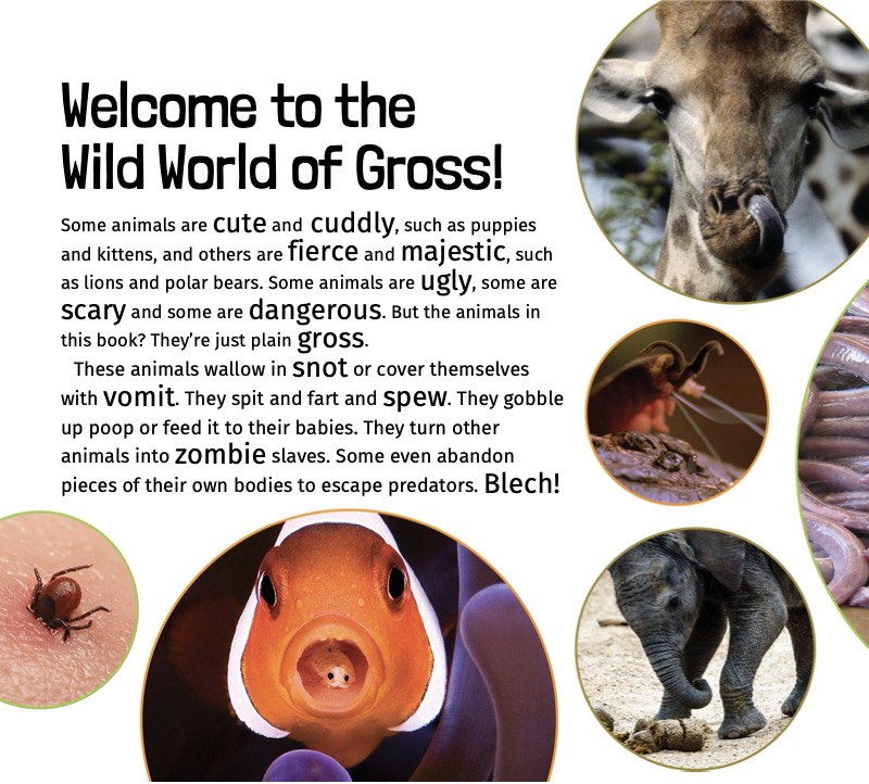 Extremely Gross Animals: Stinky, Slimy and Strange Animal Adaptations — page 1