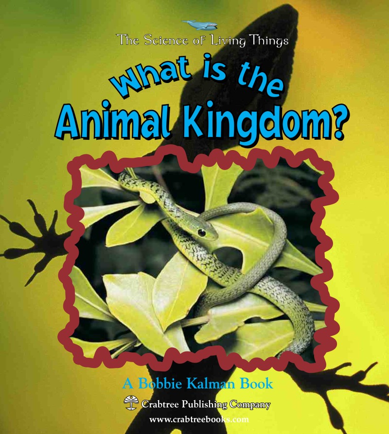 What is the Animal Kingdom? book cover