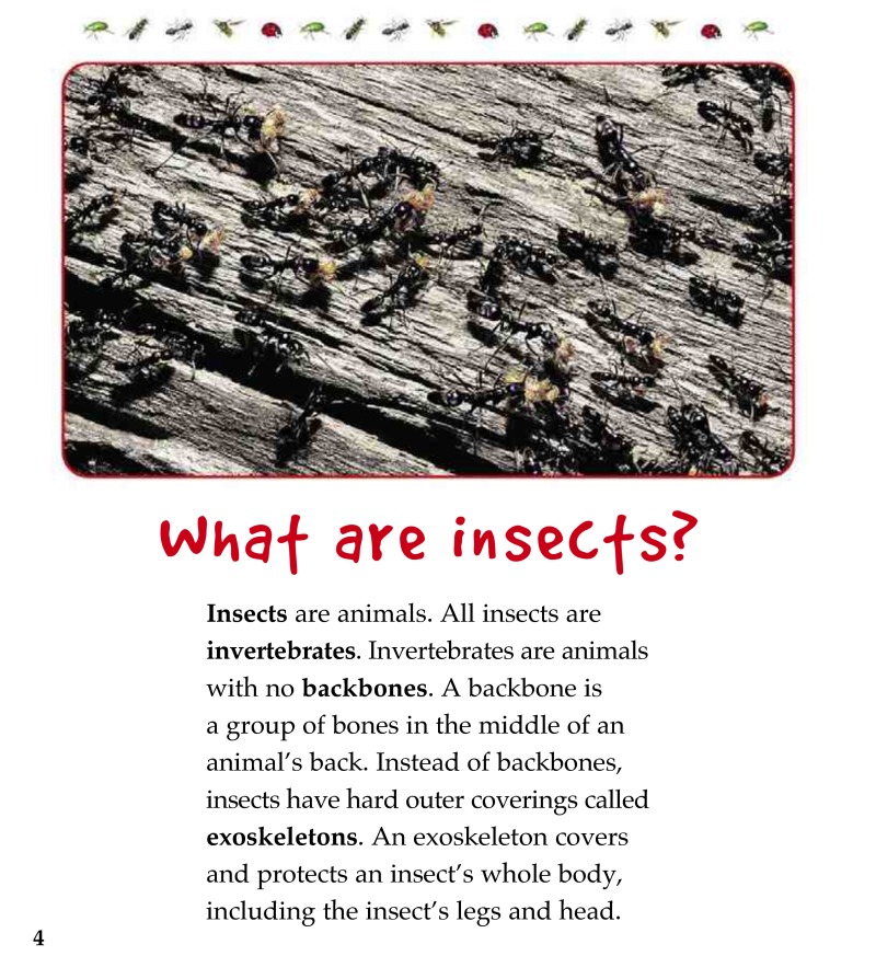 Insects that Work Together — page 1