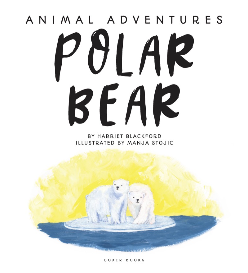 Polar Bear's Story book cover
