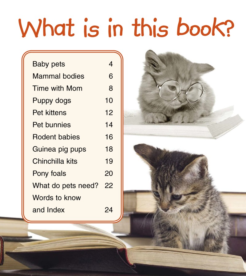 Baby Pets book cover
