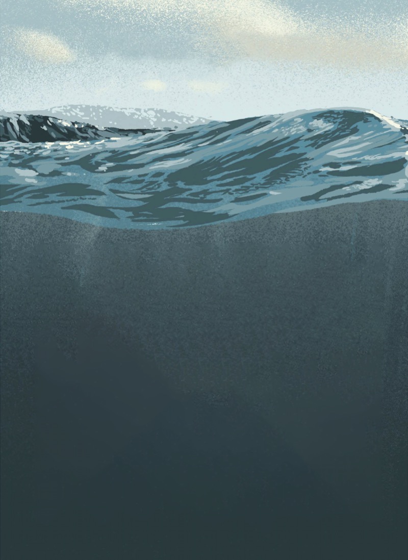 The Strangest Thing in the Sea: And Other Curious Creatures of the Deep — page 1