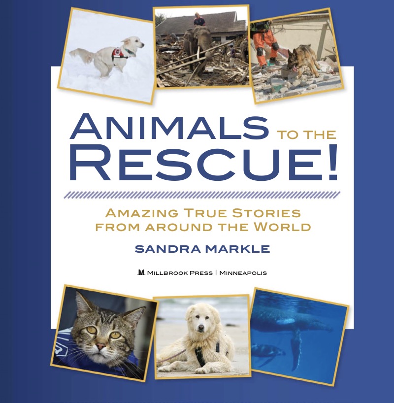 Animals to the Rescue!: Amazing True Stories from around the World book cover